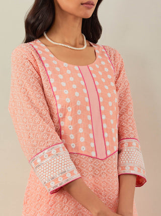 Peach Chikankari Rooh Straight Kurta Close View